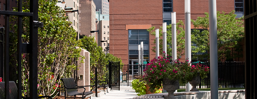 Boston campus courtyard
