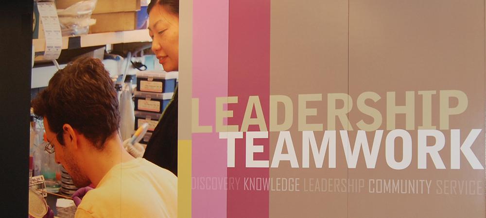 leadership and teamwork in the lab