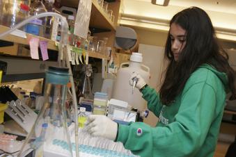 student working in the lab