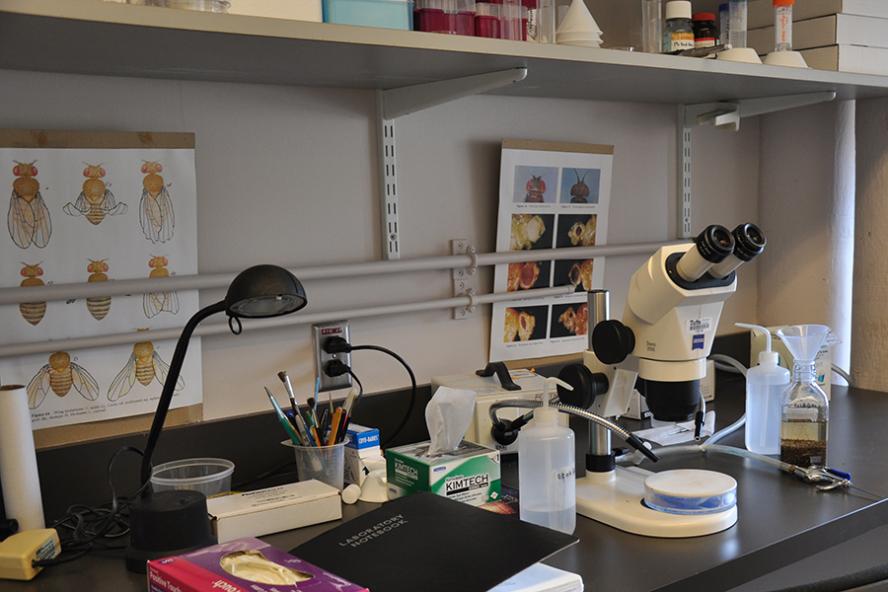 lab with microscope and posters
