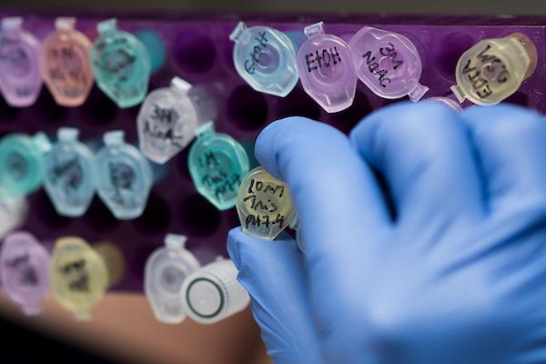 Test tubes lined up on shelf with a gloved hand reaching one