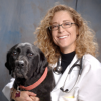 Cheryl London, D.V.M., Ph.D., DACVIM (Oncology)