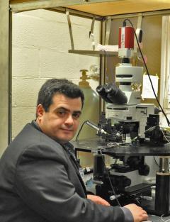 Emmanuel Pothos, Ph.D.