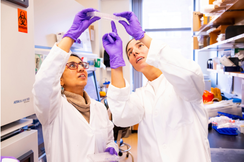 Tufts GSBS faculty and student working in a lab